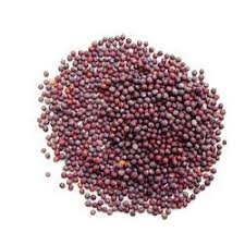 "Sorse"  / Mustard Seeds 50g Pack
