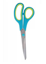 Enova 9-inch scissors